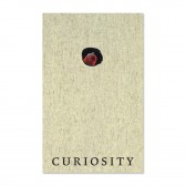 Curiosity: Art and the Pleasures of Knowing